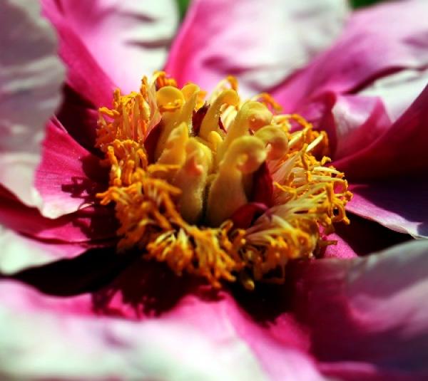 water loss water loss