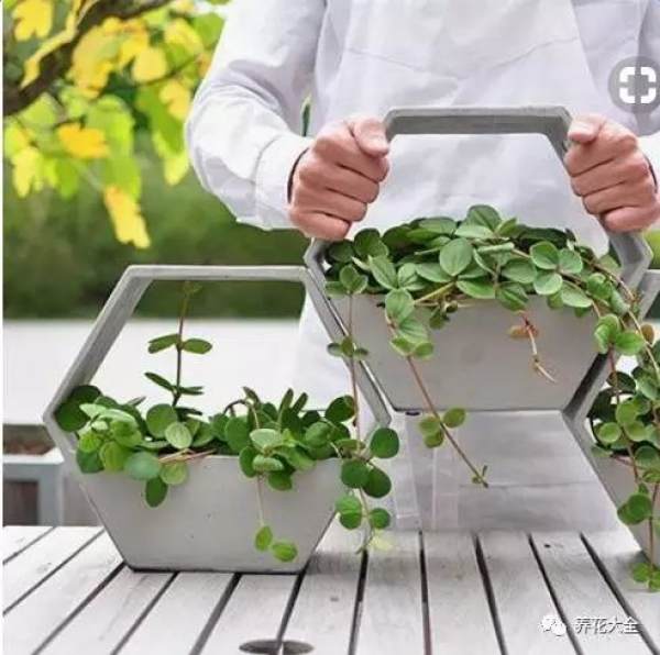 Swan flower pot