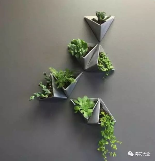 Swan flower pot