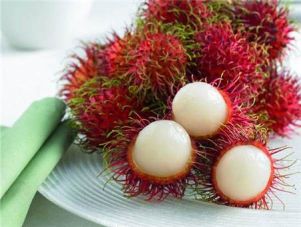 Hong Mao Dan
