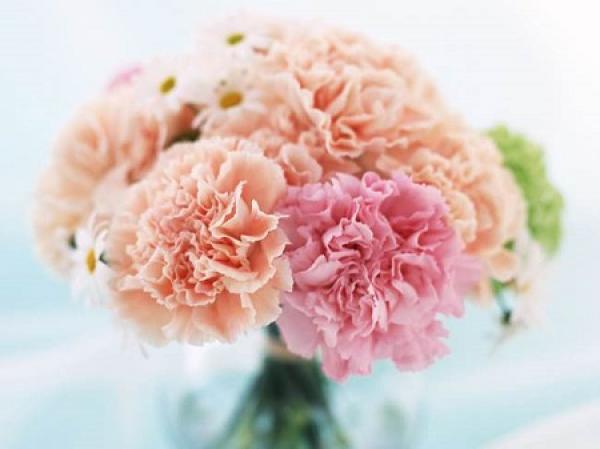 A bouquet of carnations