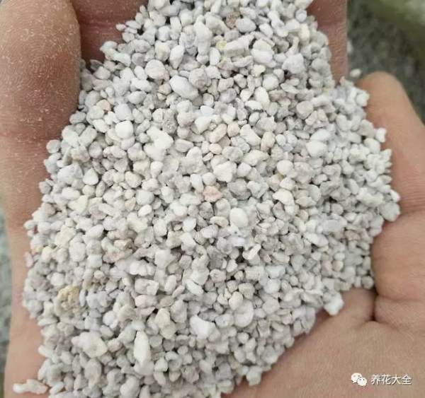 glutinous rice
