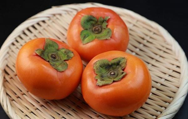 persimmon