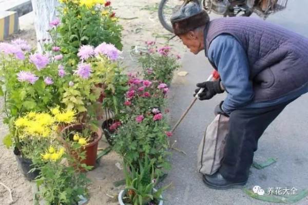 Floriculture