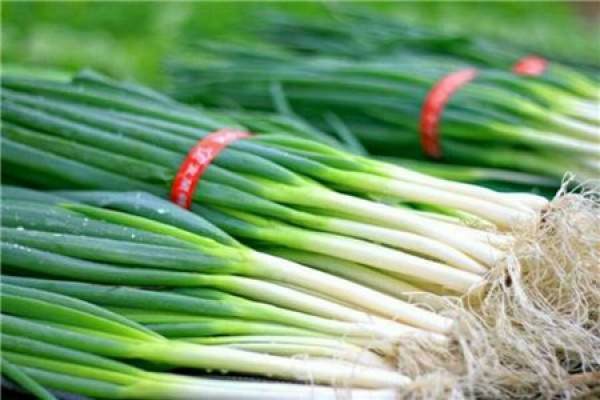 onion