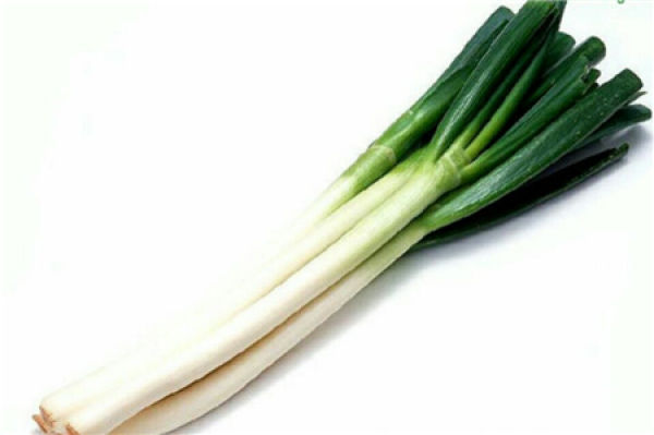 Allium fistulosum