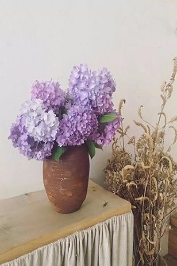 Endless Summer Hydrangea
