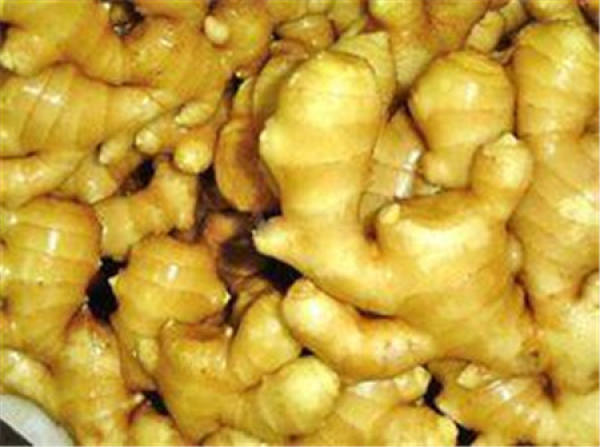 tender ginger