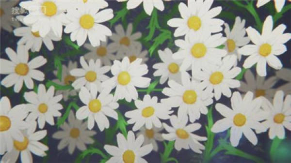 Daisy