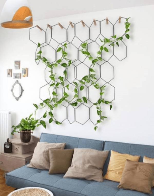 Ivy
