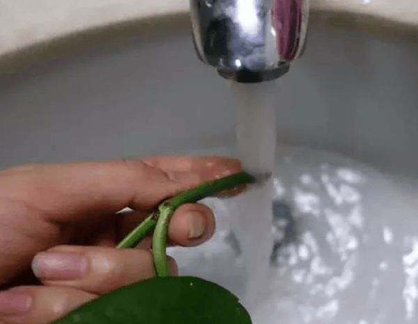Rinse with clean water