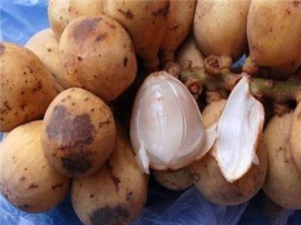 Loony fruit pulp Loony fruit pulp