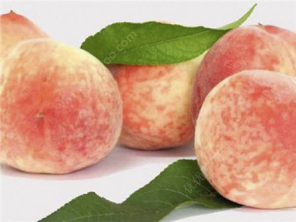 Flat peach fruit
