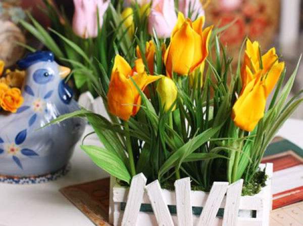 beautiful tulip beautiful tulip