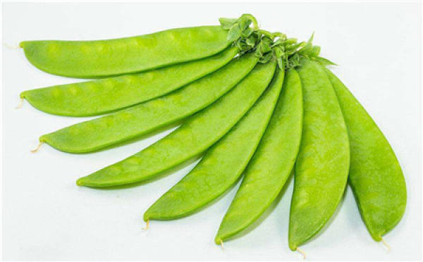 Dutch pea