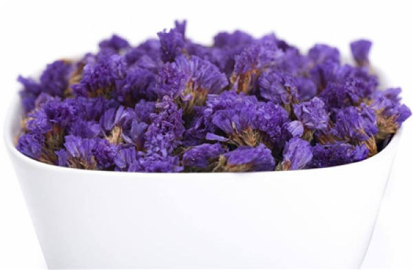 Forget-me-not flower Forget-me-not flower