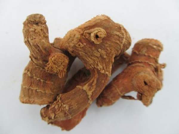 Galangal with various effect