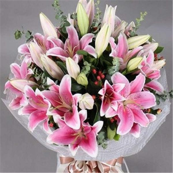 Lily Flower