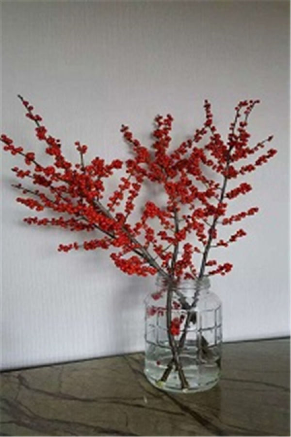 North American Holly vase
