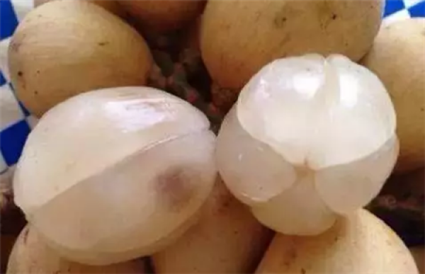 Gusu