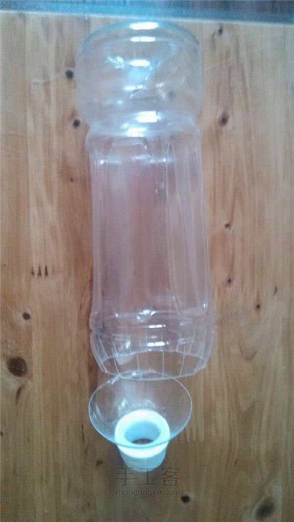 plastic bottle hyacinth