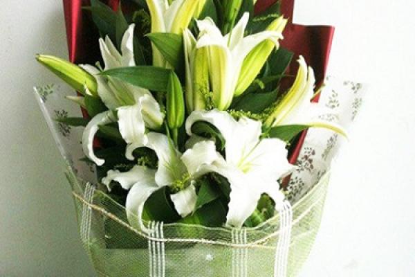 Perfume Lily