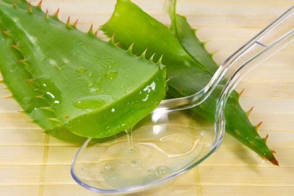 Aloe