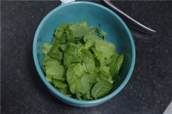Peppermint water