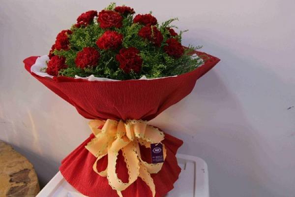 Carnation
