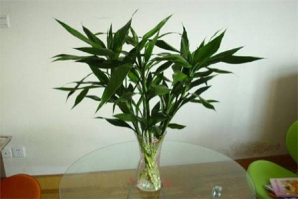 Fu Gui Zhu