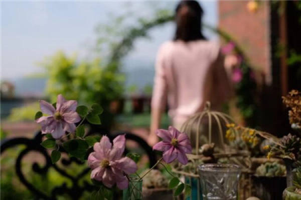 flower