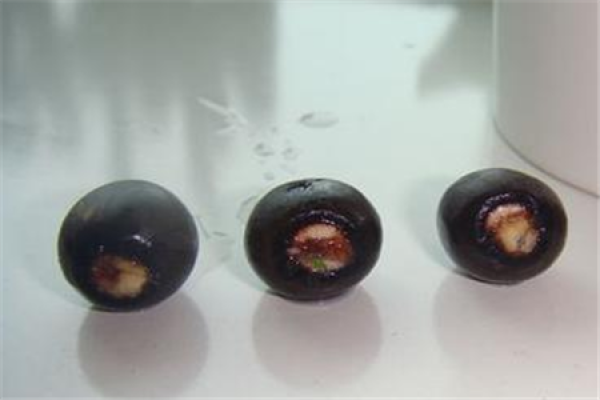 Lotus seed germination