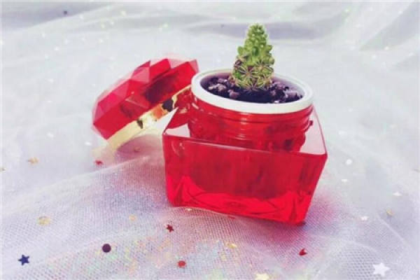 raise flowers in iron pot