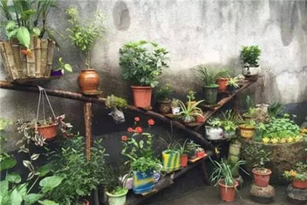 Flower Rack