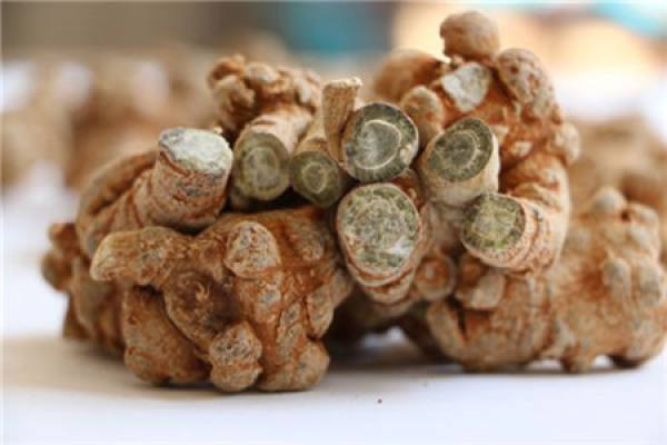 Radix Notoginseng