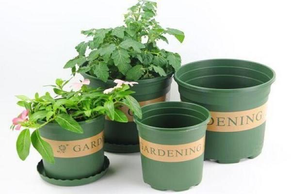 plastic flowerpot