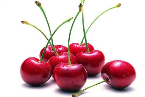 Nanking cherry