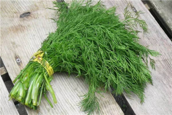 dill