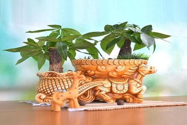 Fortune Tree