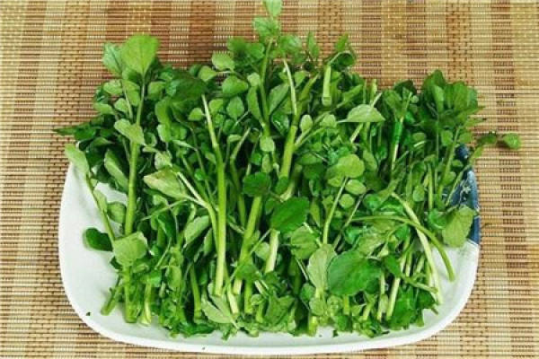 Watercress