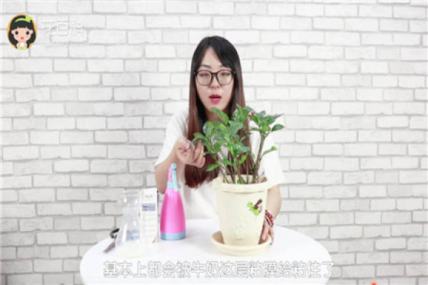 insecticidal