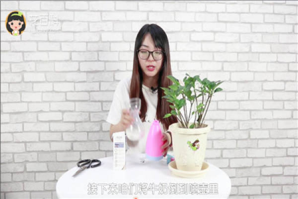 insecticidal