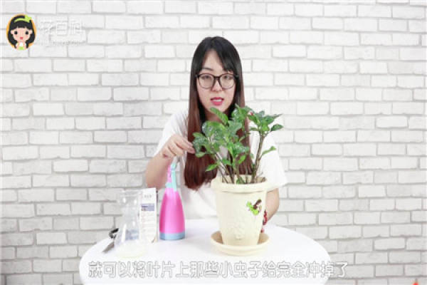 Milk insecticide