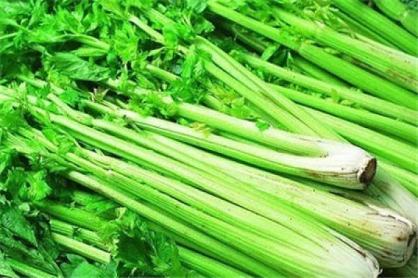 parsley