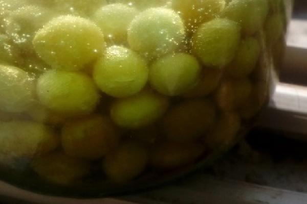 fruit retting