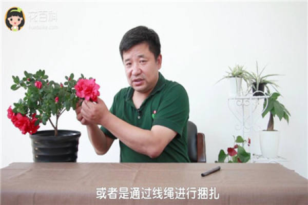 Binding weak branch Binding weak branch