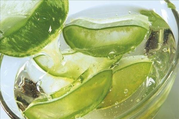 aloe
