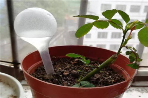 Insert a water storage 