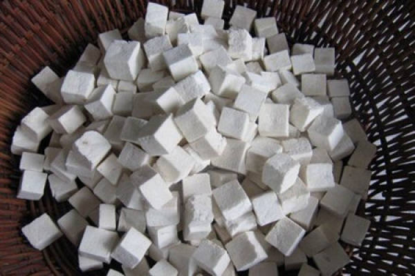 Poria cocos