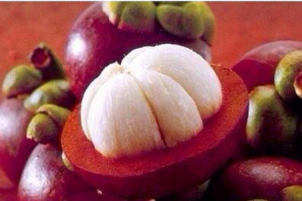 mangosteen